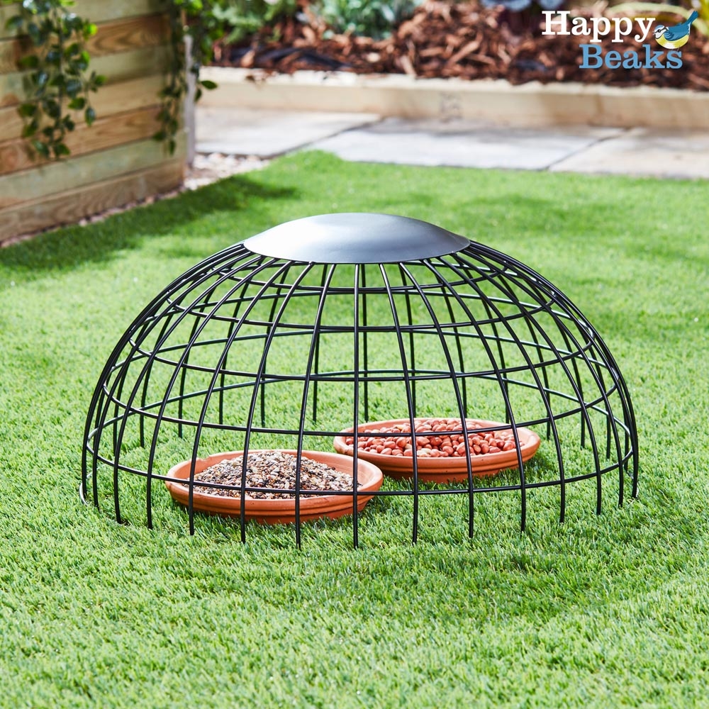 Win A Squirrel Proof Ground Feeding Haven Happy Beaks