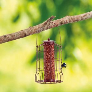 Squirrel Proof Feeders Happy Beaks