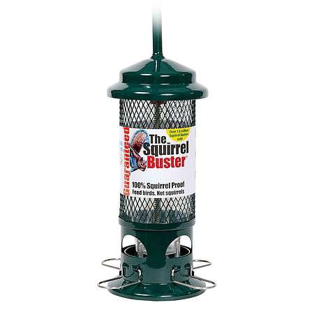 Brome Squirrel Buster Seed Feeder | Happy Beaks