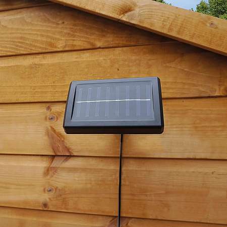 Solar Shed Light | Happy Beaks