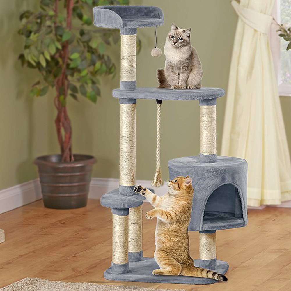 Cat Activity Trees | Happy Beaks